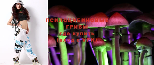 герыч Алексин