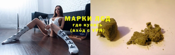 твердый Абаза